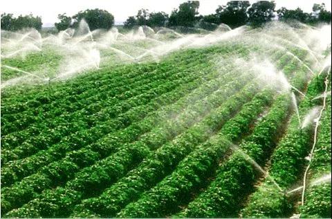 设施水肥一体化滴灌技术的肥料选择和施肥要点