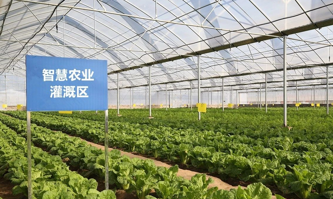 用对灌溉方式高效又增产 看你的农作物适合哪种节水灌溉形式？