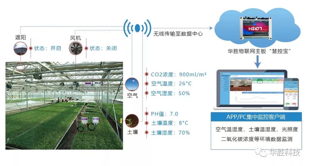 农业物联网-将科技力量发挥到极致